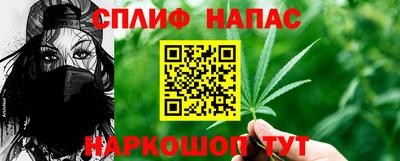 сатива Нальчик