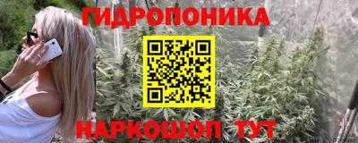 сатива Нальчик