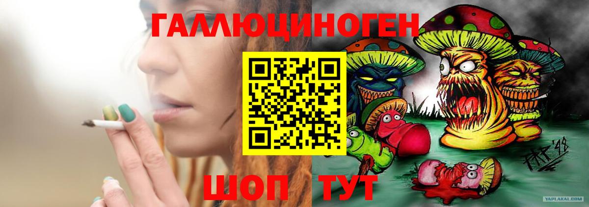 Псилоцибиновые грибы MAGIC MUSHROOMS Алатырь