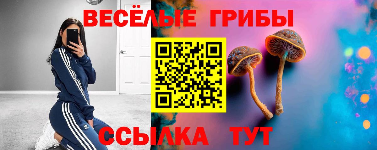 купить закладку  Псилоцибиновые грибы Psilocybe  Псилоцибиновые грибы Magic Shrooms  Вход с VPN  Алатырь 